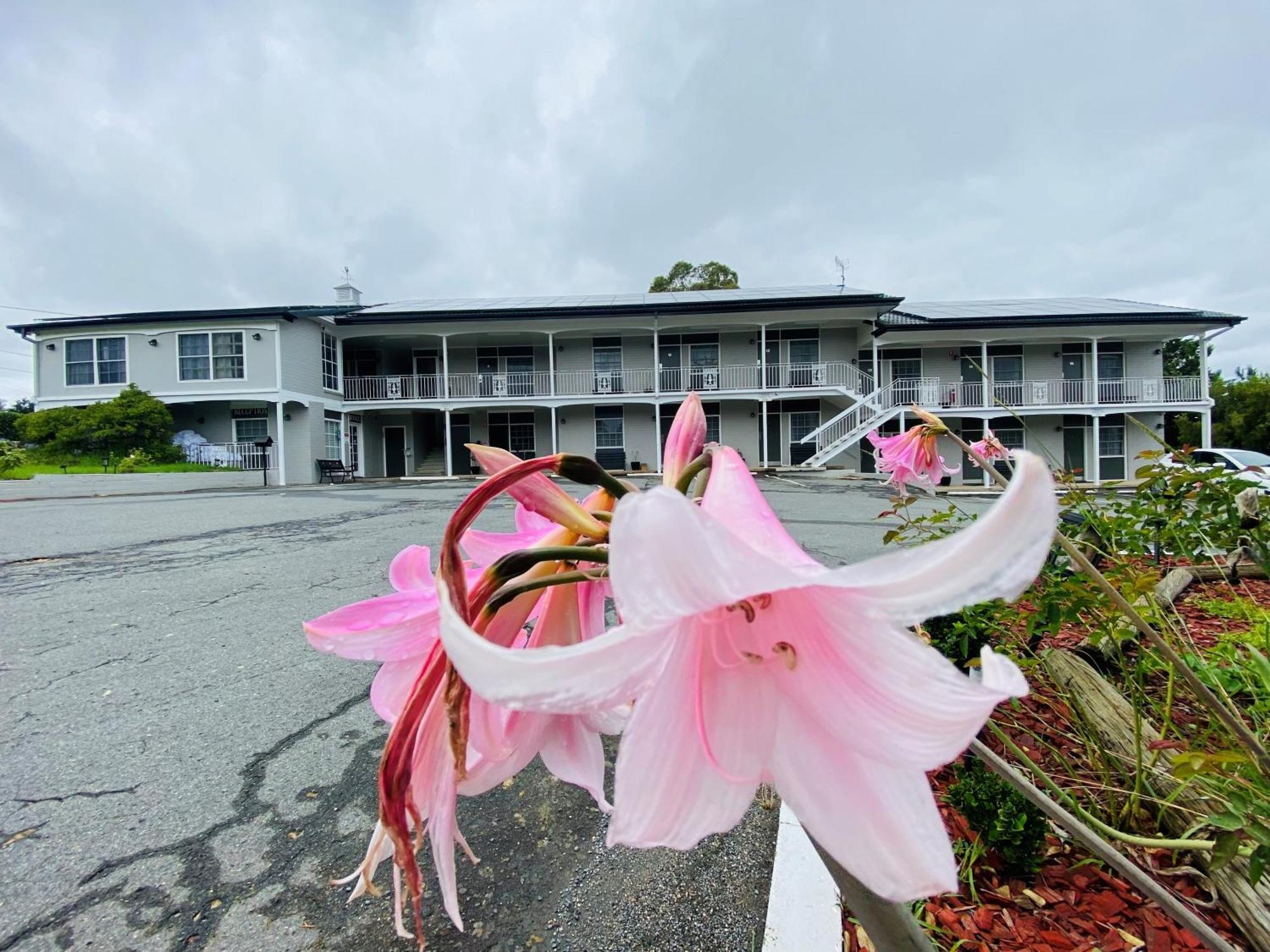 Colonial Lodge Motor Inn แยส ภายนอก รูปภาพ